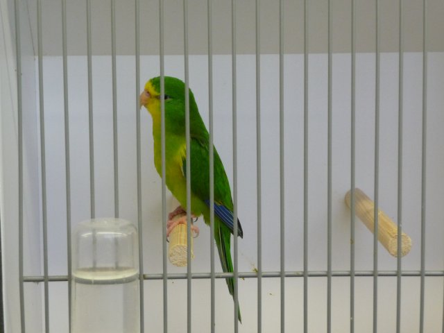 p1040731